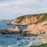 Bodega Head Trail