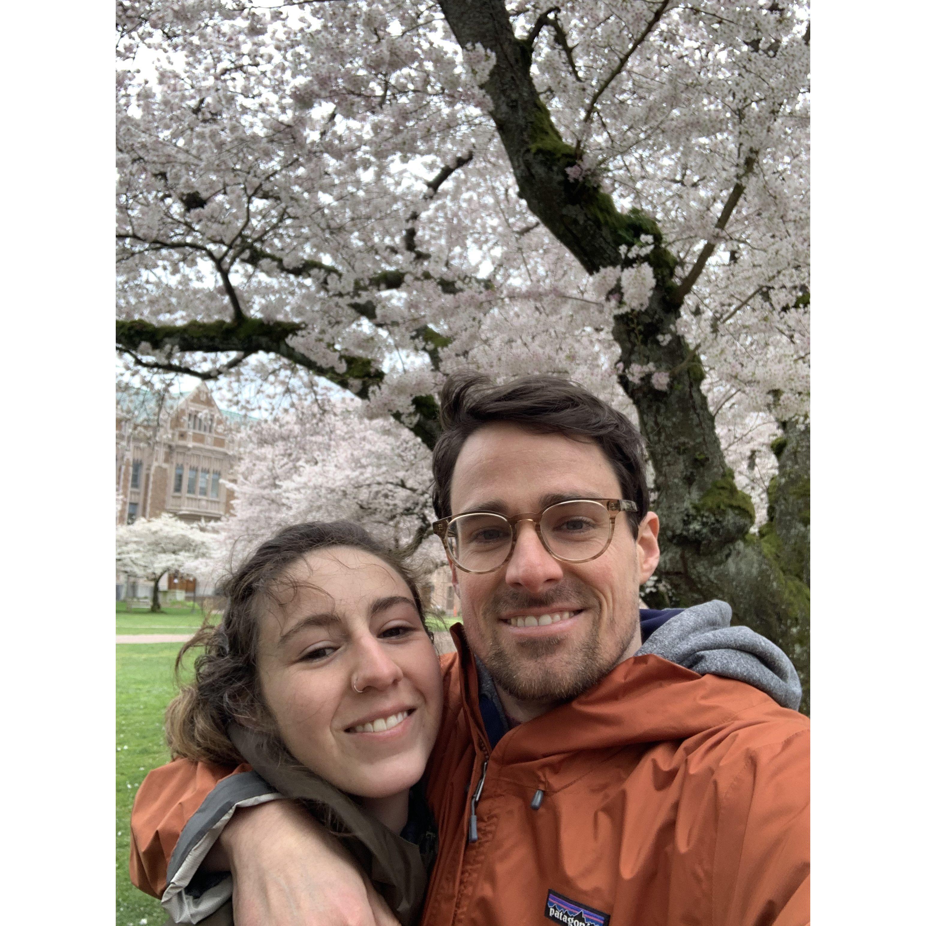 During COVID, we got to enjoy UW's iconic cherry blossoms all to ourselves
