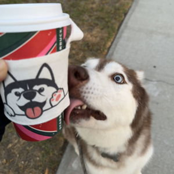 Boba & Coffee Fund