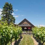 Newport Vineyards