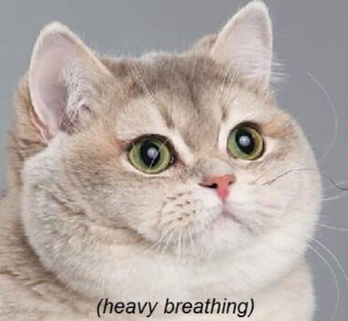 The Wedding Website of Kayla Paz and Nicholas Mederos