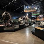 Houston Museum of Natural Science at Sugar Land
