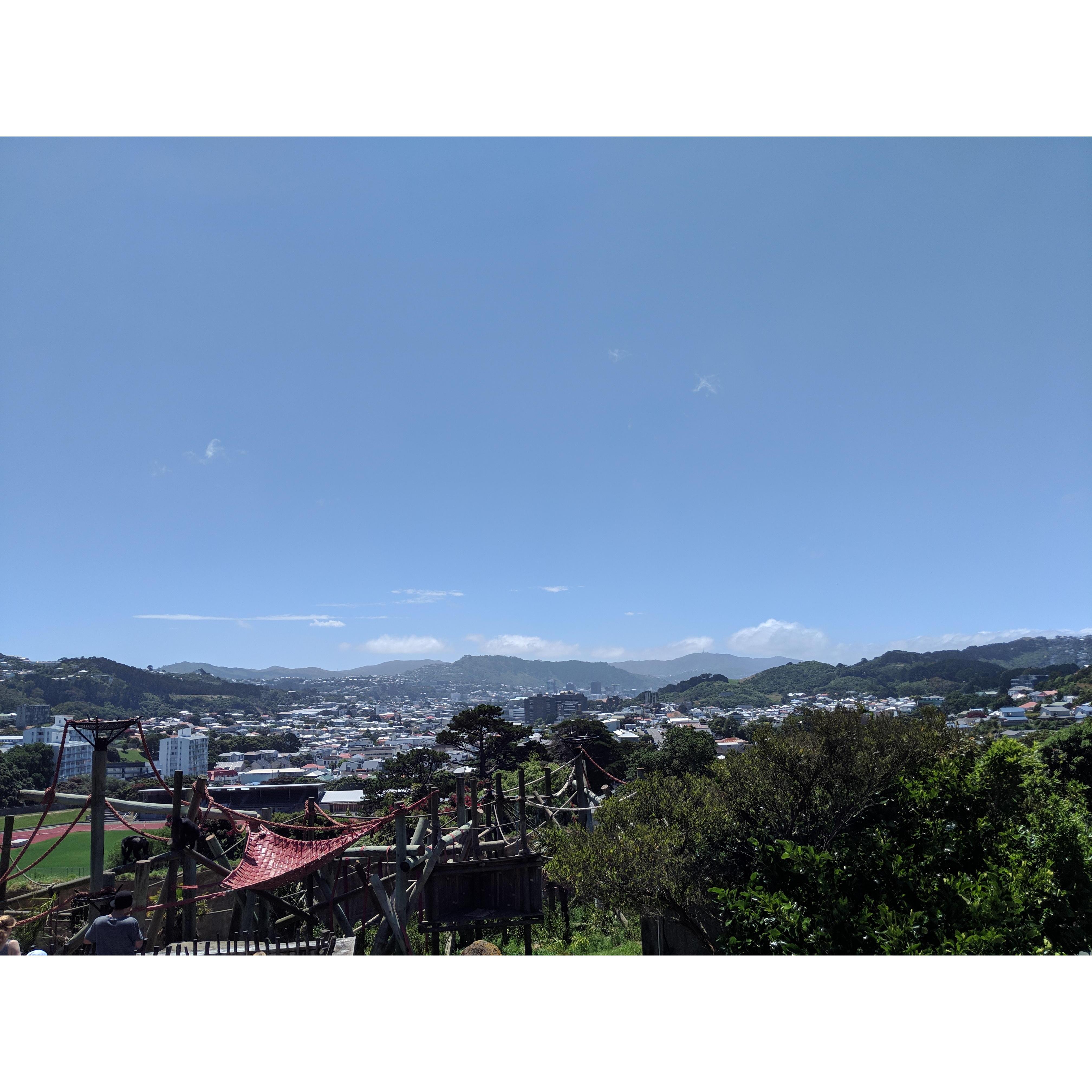 The view where Clay proposed in New Zealand
