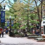 Pearl Street
