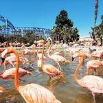 SeaWorld San Diego