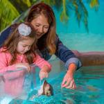 Hill City AquaZoo