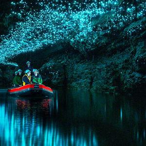 Glow Worm Caves
