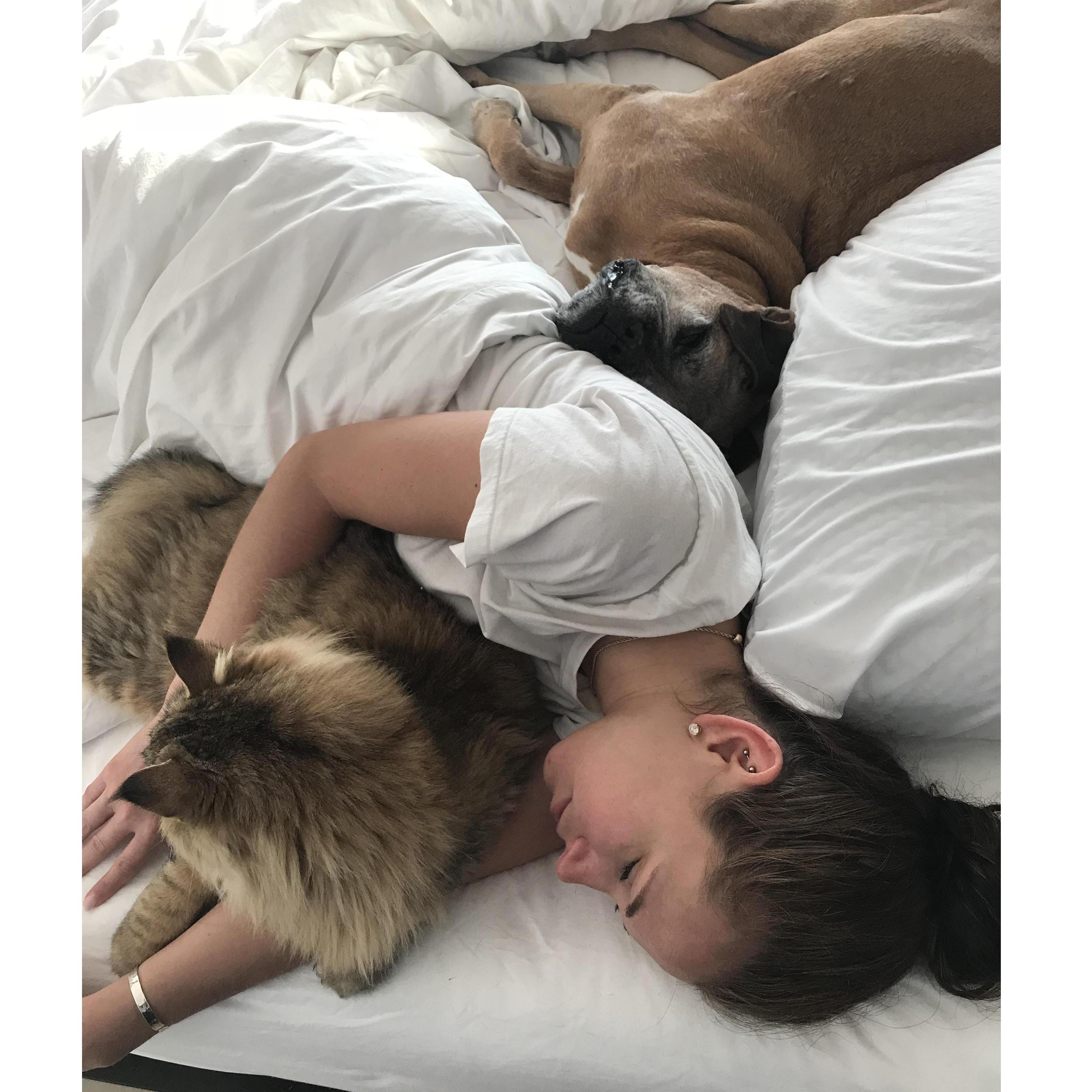 We need a bigger bed