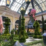 Bellagio Conservatory & Botanical Gardens