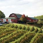 Carter Mountain Orchard and County Store