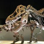 Houston Museum of Natural Science