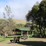 Ulu La‘au (Waimea Nature Park)