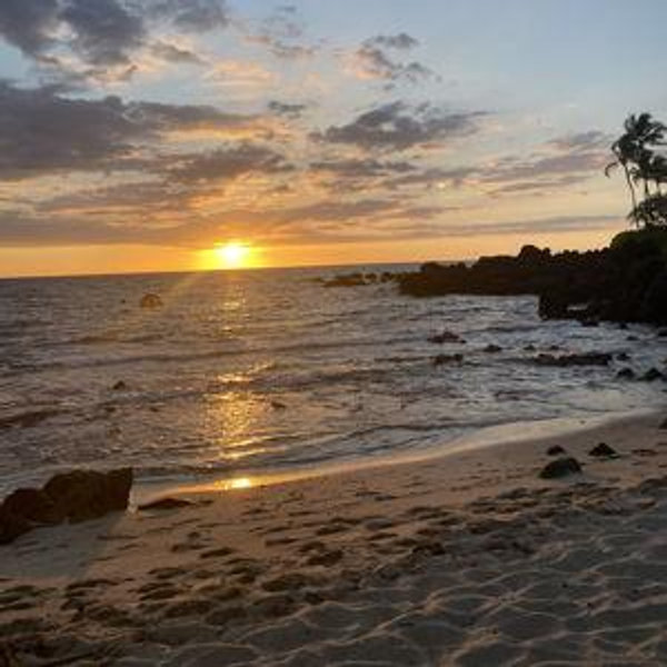 Honeymoon to Hawaii