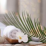Dreams Spa