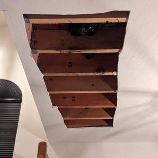 Patch the hole in our ceiling + other house projects
