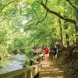 Lanana Creek Trail