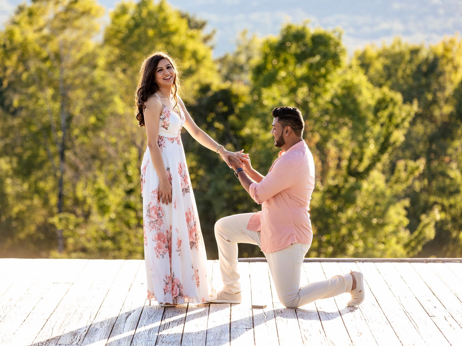 The Wedding Website of Sadhna Batra and Atish Rana
