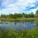 Tawas Point-Sandy Hook Nature Trail