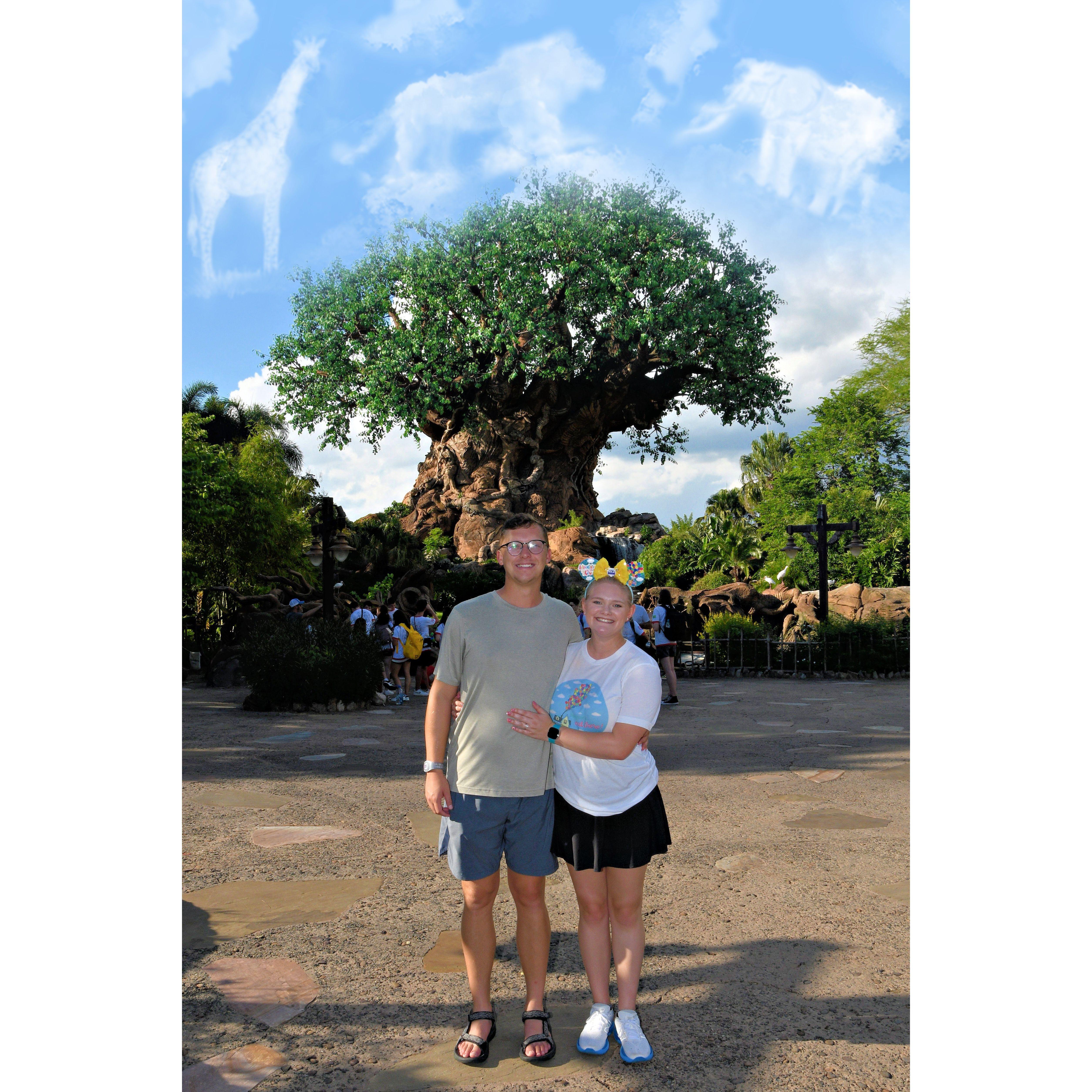 Disney World Trip 2023