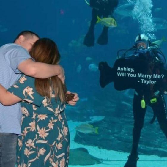 Proposal!