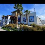 Salt Life Food Shack