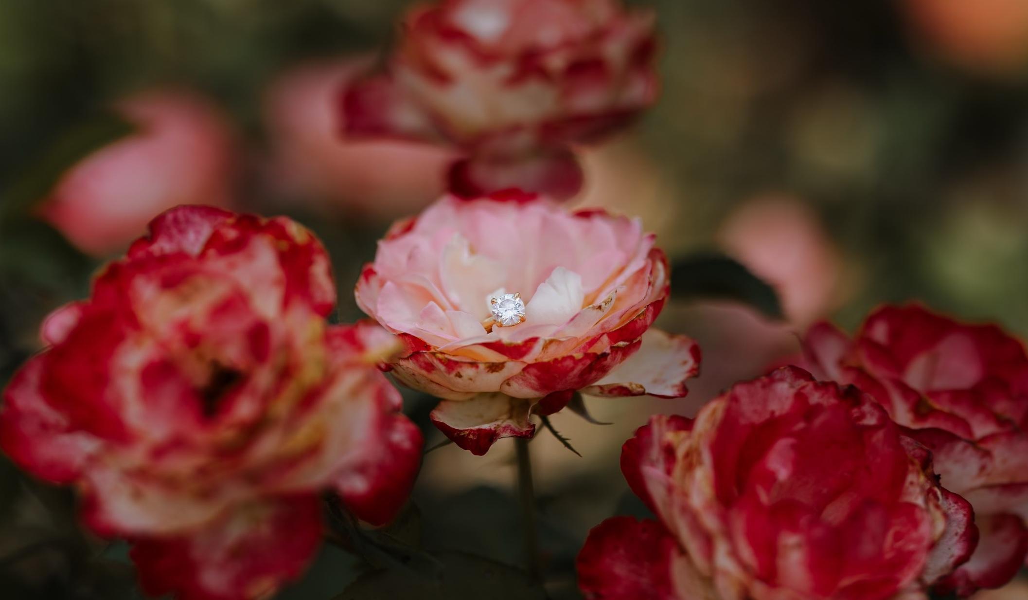 c61b8c2b-5abf-479a-983d-392225591c47