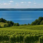 Old Mission Peninsula Wine Trail