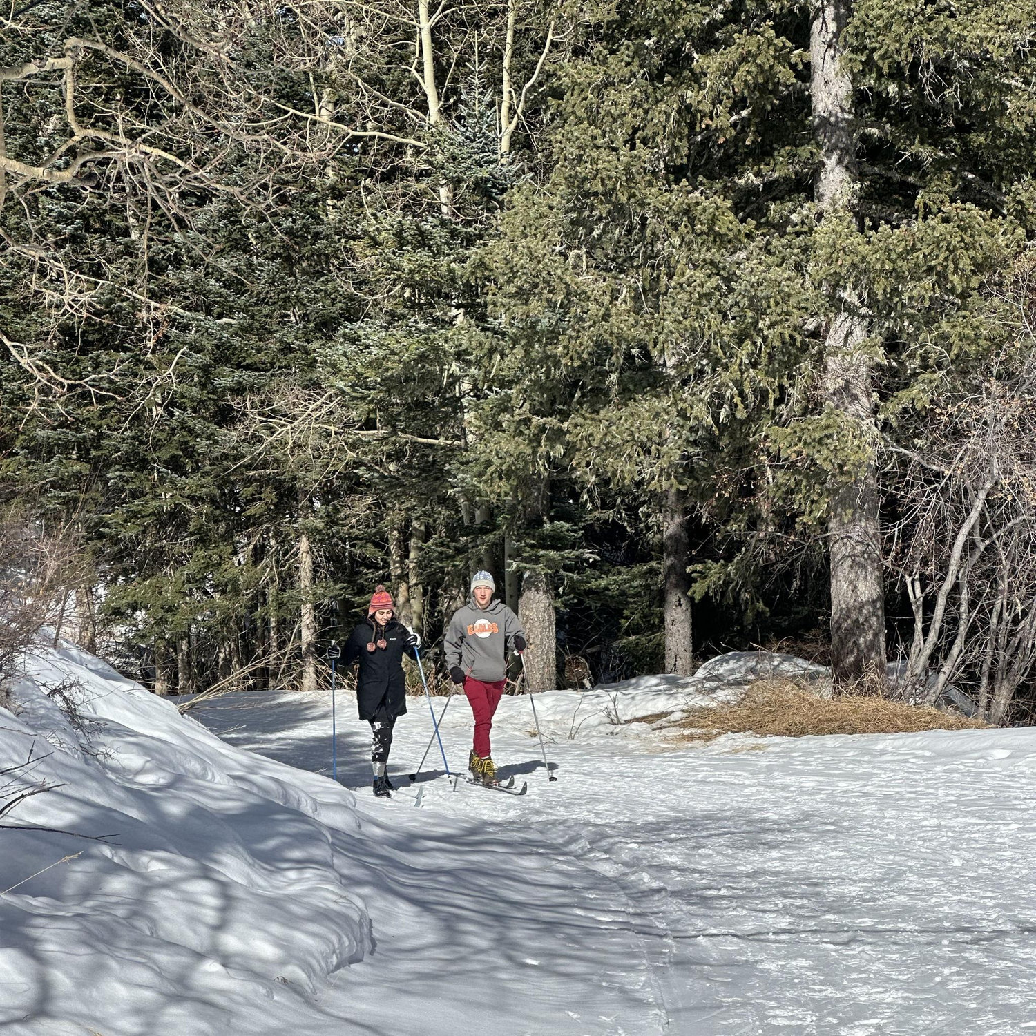 Our first time XC skiing