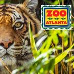 Zoo Atlanta