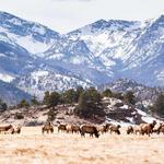 Rocky Mountain National Park