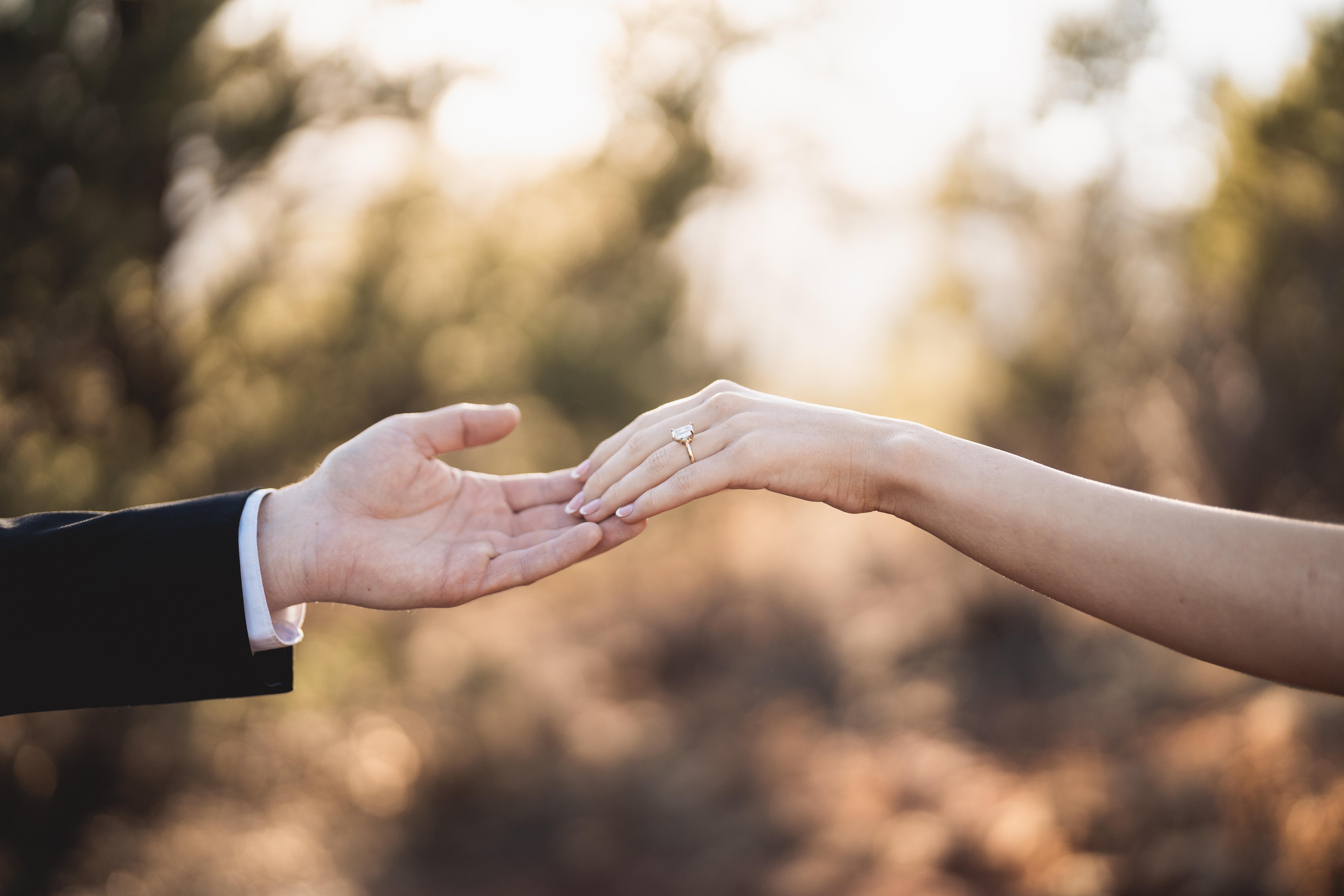 The Wedding Website of Sophia Barnhart and Jared Zoeller