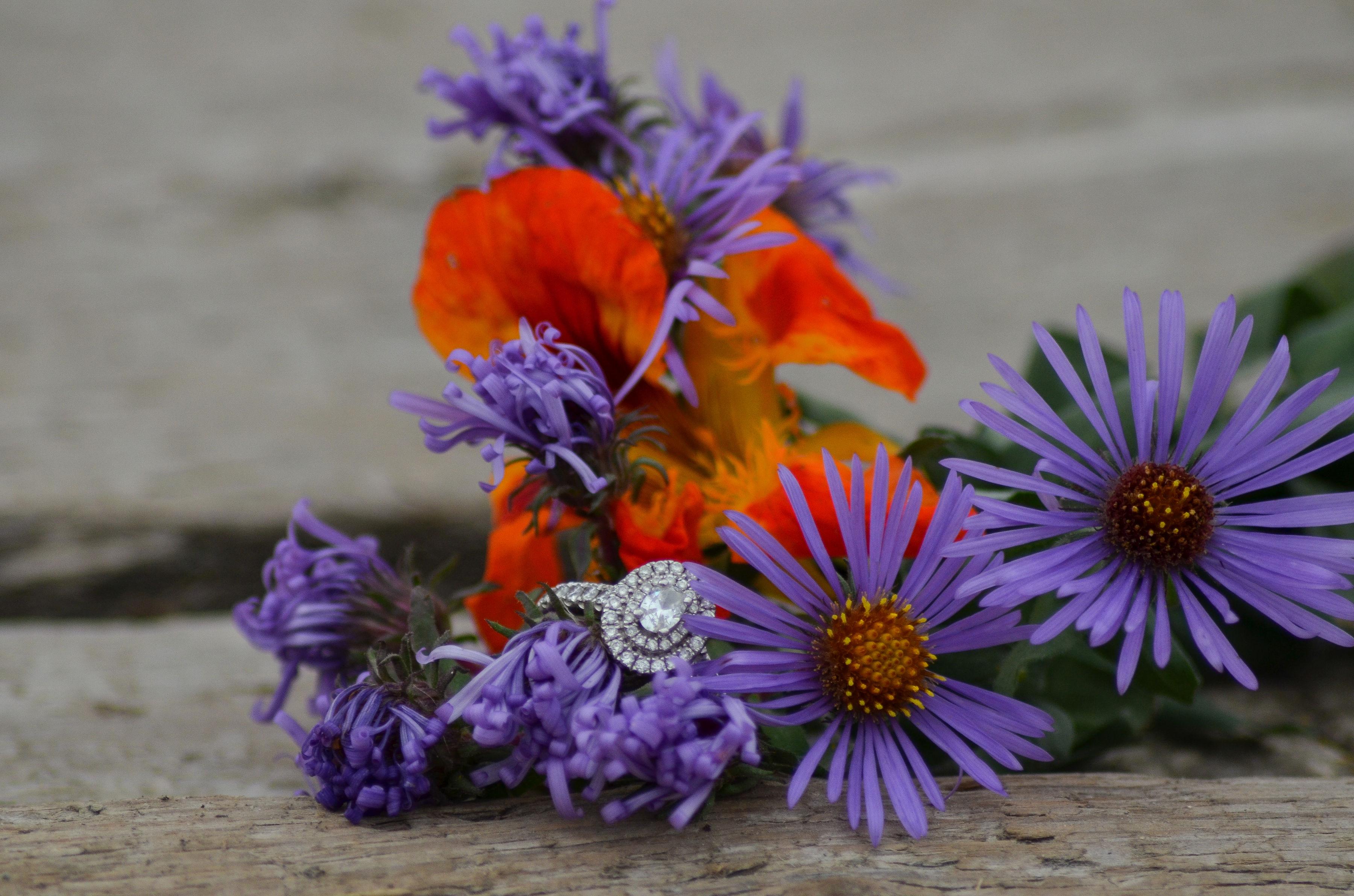 The Wedding Website of Gabrielle Welch and Kyle Rainville