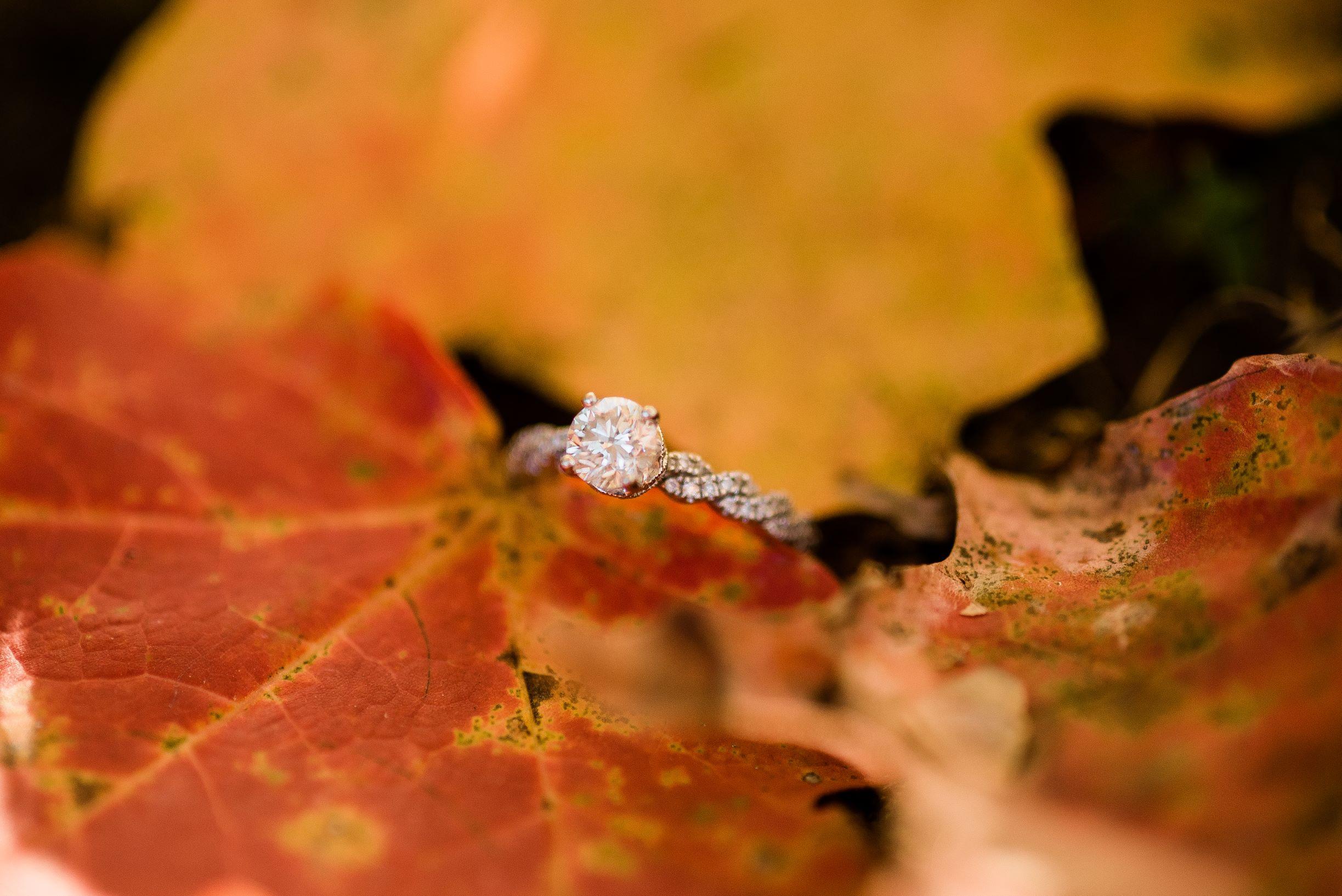 The Wedding Website of Shaylee Manahan and William Parsley