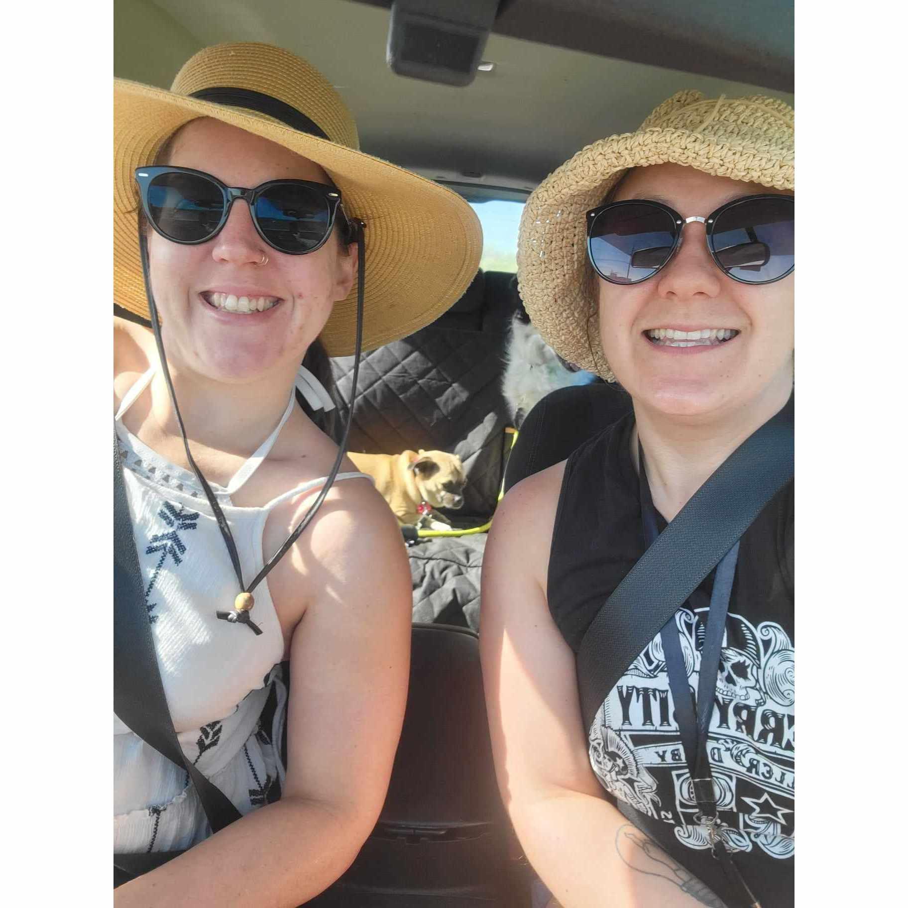Lake day with the dogs and the paddle boards.