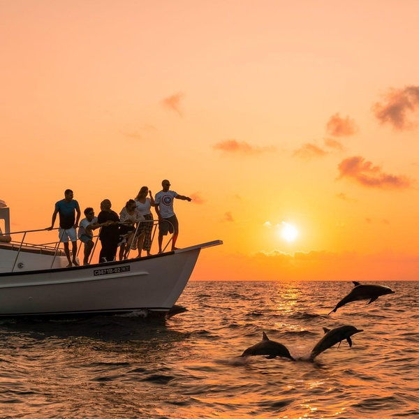 Sunset Dolphin Tour