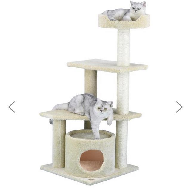 Premium 53" Carpeted Cat Condo