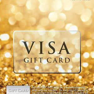 $100 Visa Gift Card (plus $5.95 Purchase Fee)