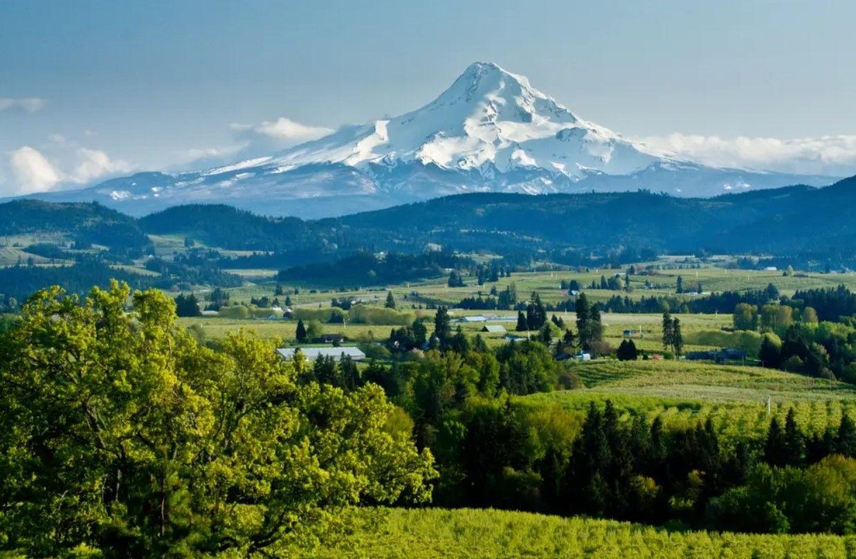 The Wedding Website of Alexis Harrington and Randy Freund