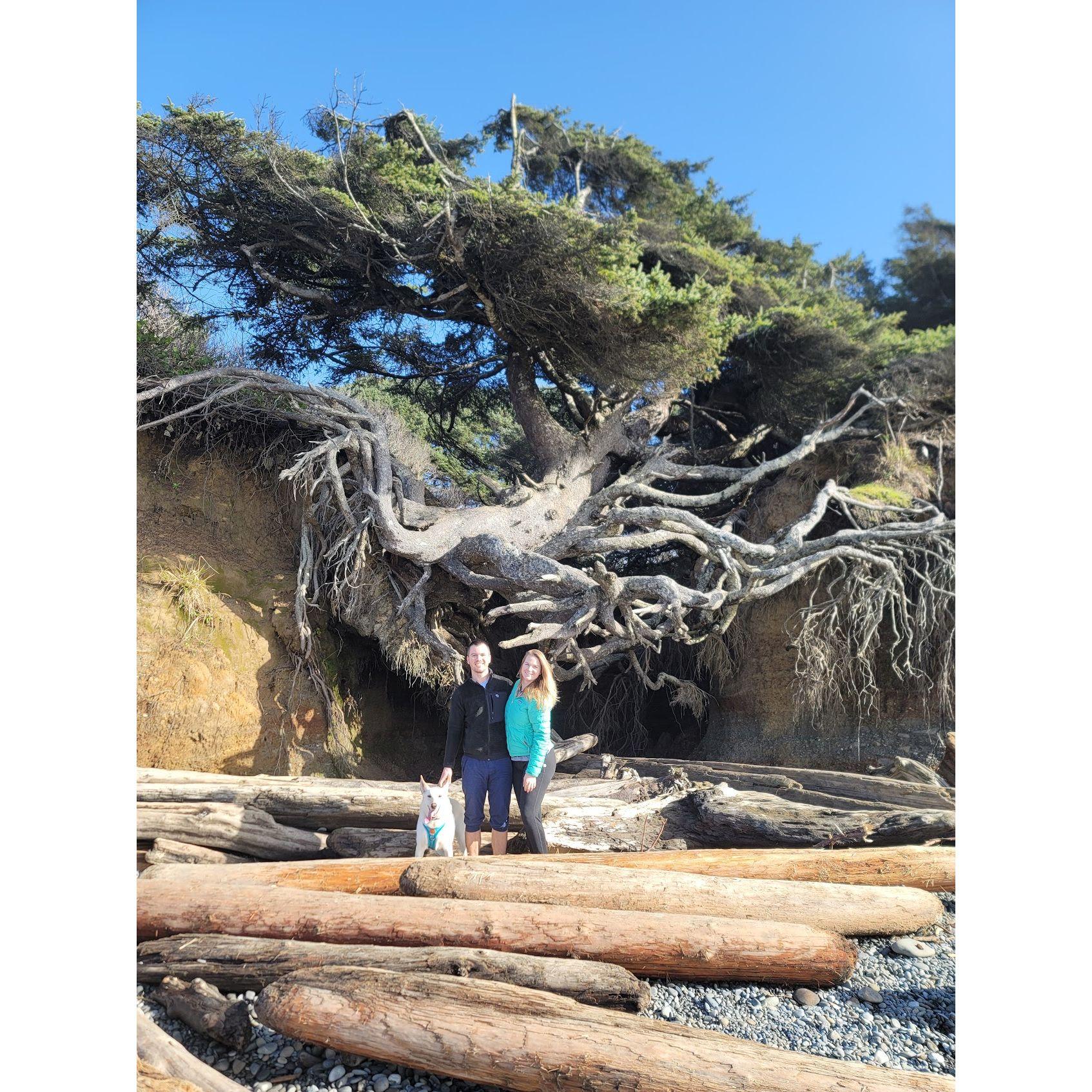 Tree of Life! Spring 2023