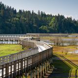 Billy Frank Jr. Nisqually National Wildlife Refuge