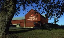 Angry Orchard