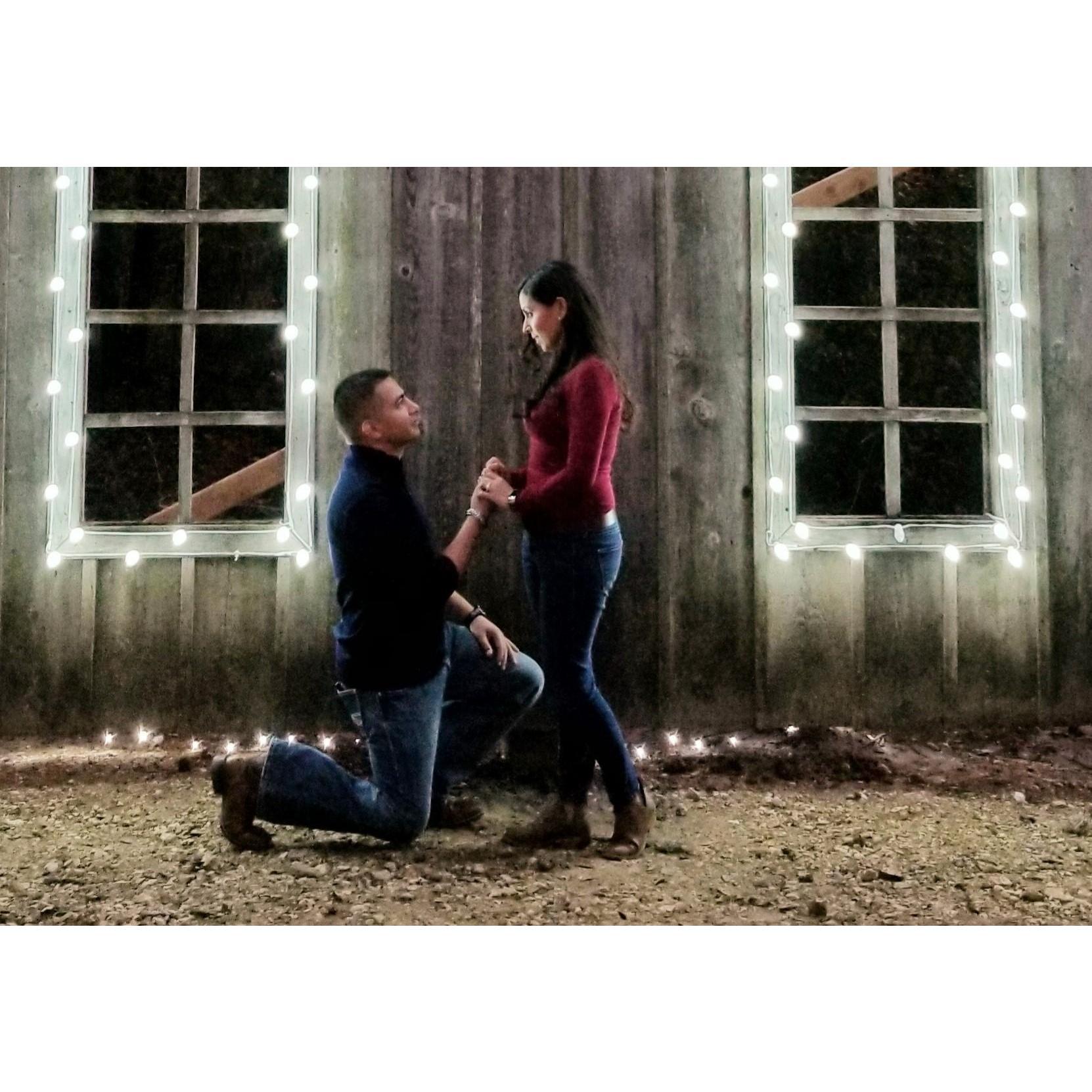 Having a good time reliving our proposal.