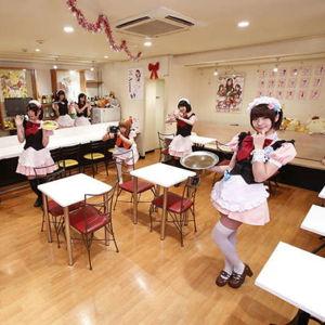 Maid Cafe Experience