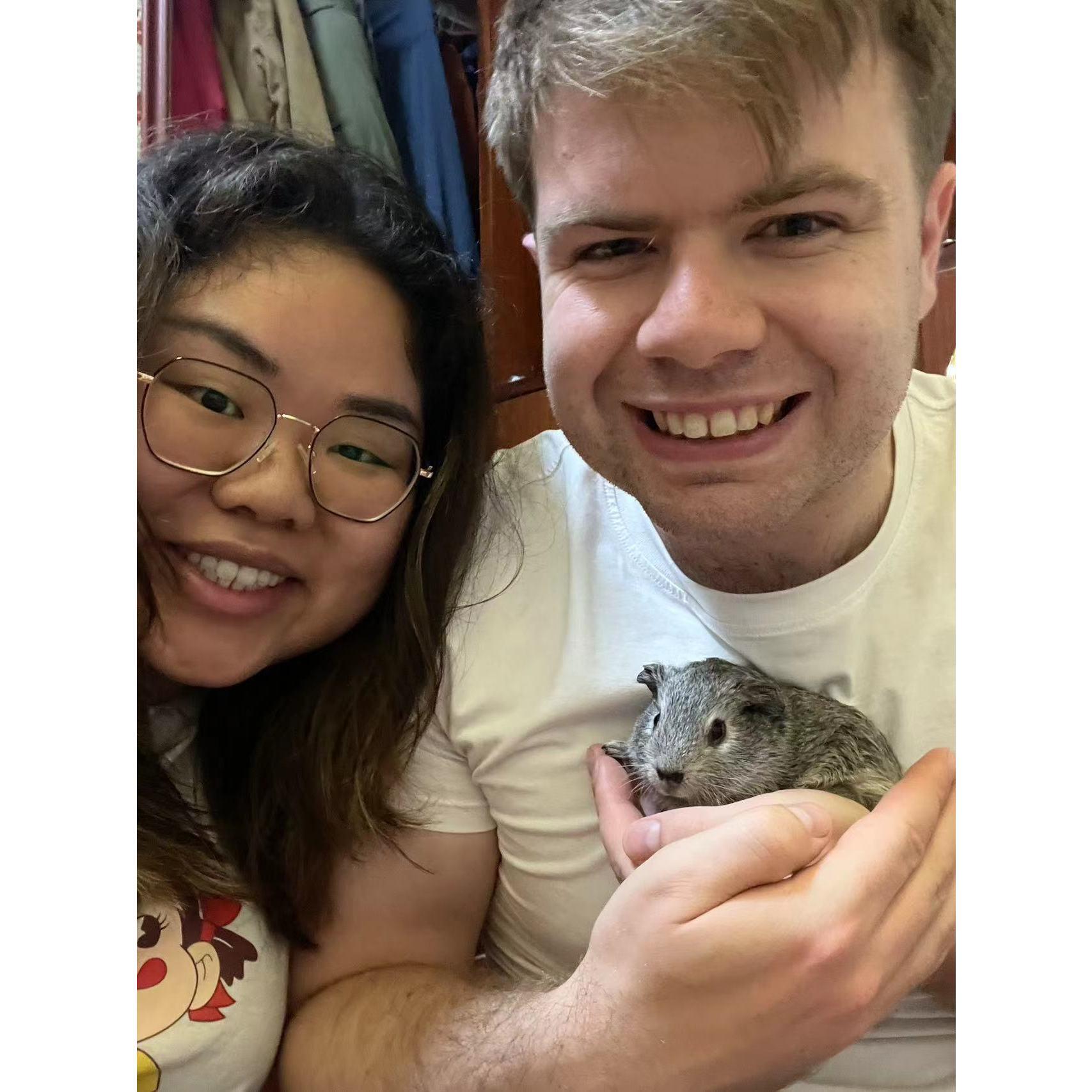 Our first guinea pig WingWang