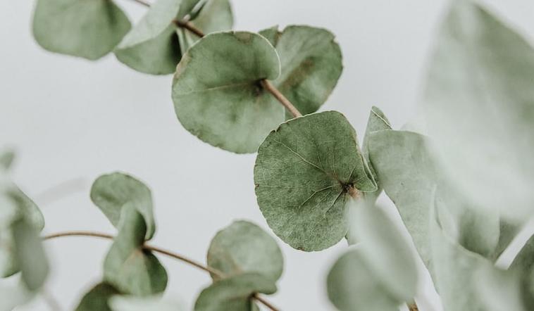 The Wedding Website of Rachael Payne and Austin Stucke