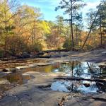 Line Creek Nature Area