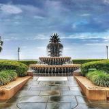 Pineapple Fountain