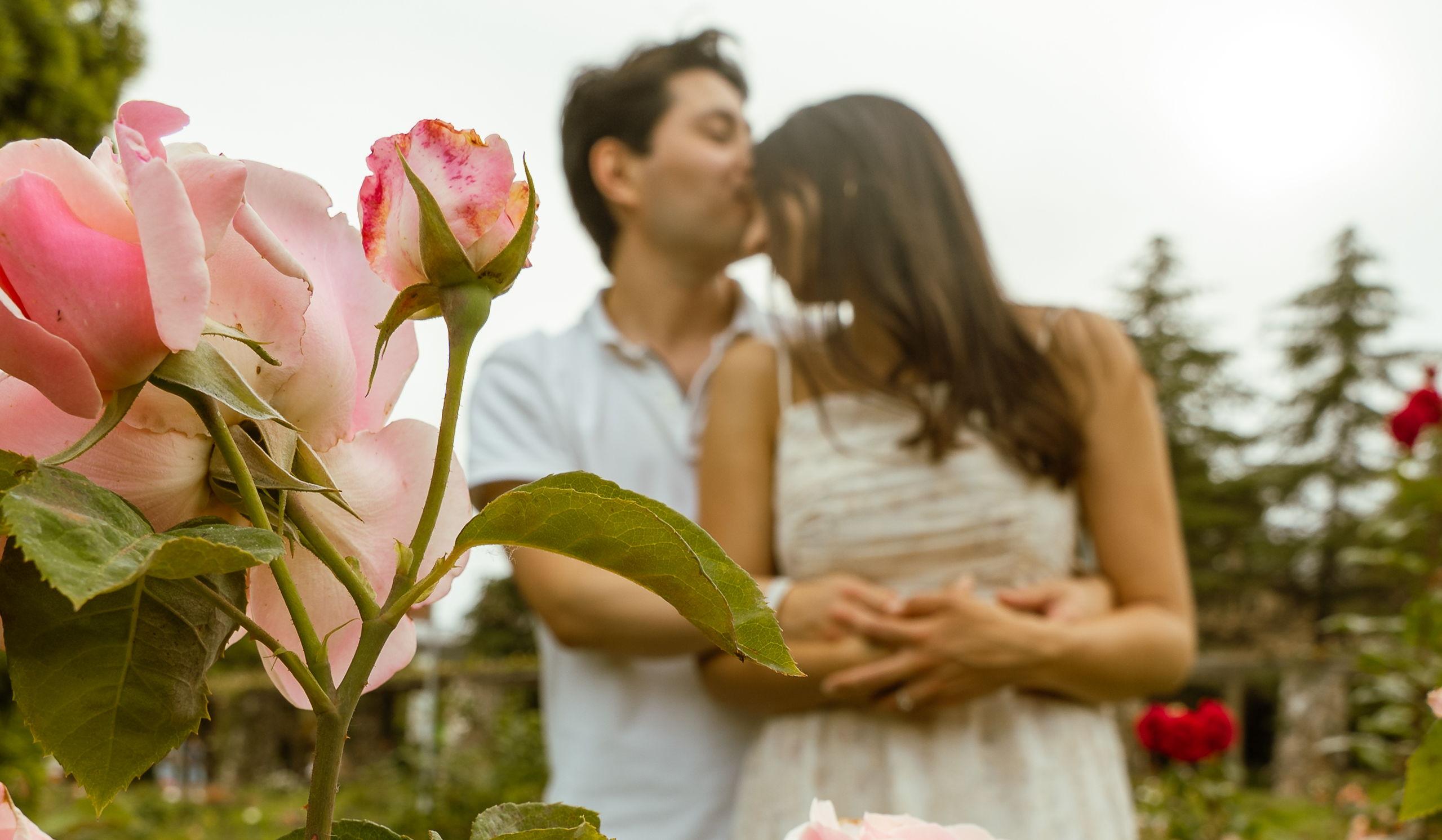 Hero Slideshow Image 0