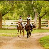 Equestrian Center (Horseback Riding & Polo)