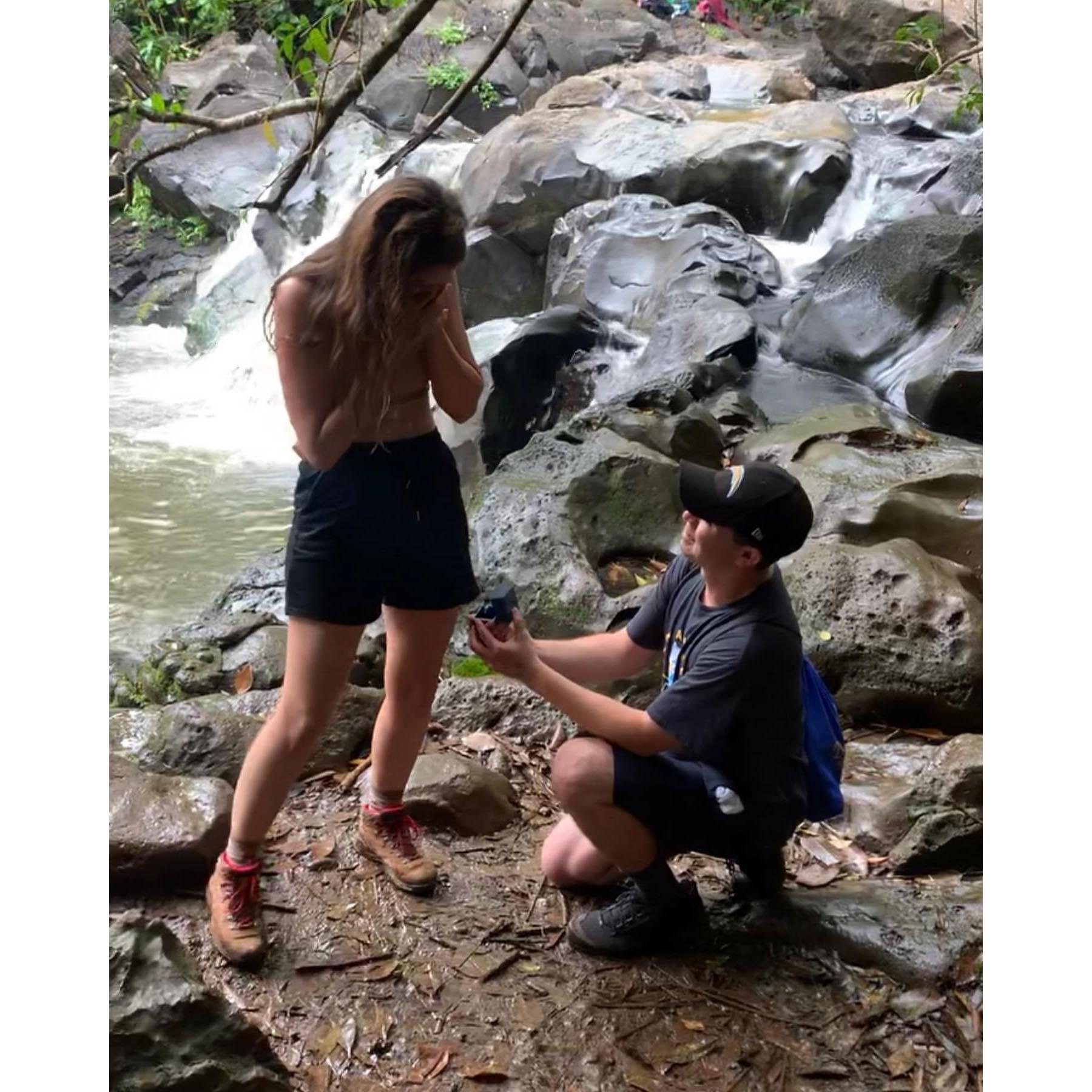 Chris popping the question in Hawaii